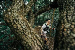 BIB: 
                            <button type="button" onclick="openModal(25392599)" class="btn btn-primary btn-sm float-right btn-popup" data-toggle="modal" data-target=".modal-high-quality">
                        <i class="fas fa-shopping-cart"></i> Add to Cart
                    </button>
                                            <button type="button" onclick="isThisMe(25392599, true)" class="btn btn-success btn-sm float-right btn-popup btn-isme hidden" data-toggle="tooltip" data-placement="bottom" title="นี่คือรูปของคุณใช่ไหม คลิกที่นี่เพื่อเอาเข้าอัลบั้ม">
                        <i class="fas fa-plus"></i> Add to album
                    </button>
                    <button type="button" onclick="isThisMe(25392599, false)" class="btn btn-warning btn-sm float-right btn-popup btn-isnotme hidden">
                        <i class="fas fa-ban"></i> Remove from album
                    </button>